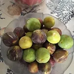 Mare Chiaro By Salentolimit Nocleg ze śniadaniem 3*