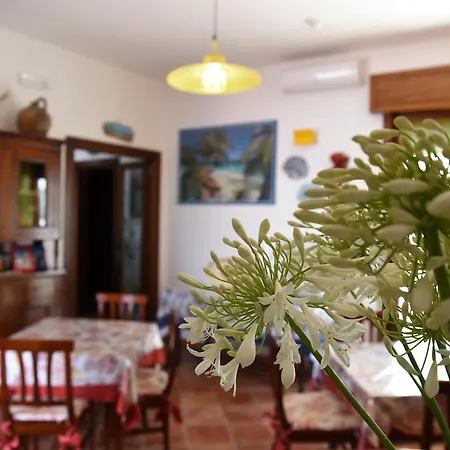 Mare Chiaro By Salentolimit