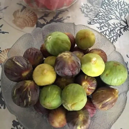 Mare Chiaro By Salentolimit Bed and Breakfast 3*